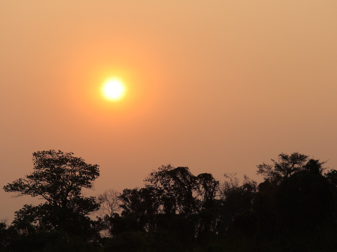 Pantanal Trip Tur景点图片