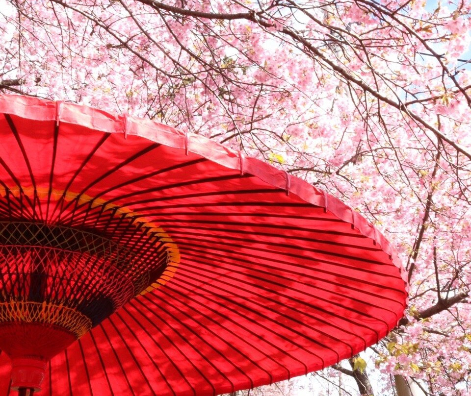 甘味処鎌倉 鎌倉小町通り店