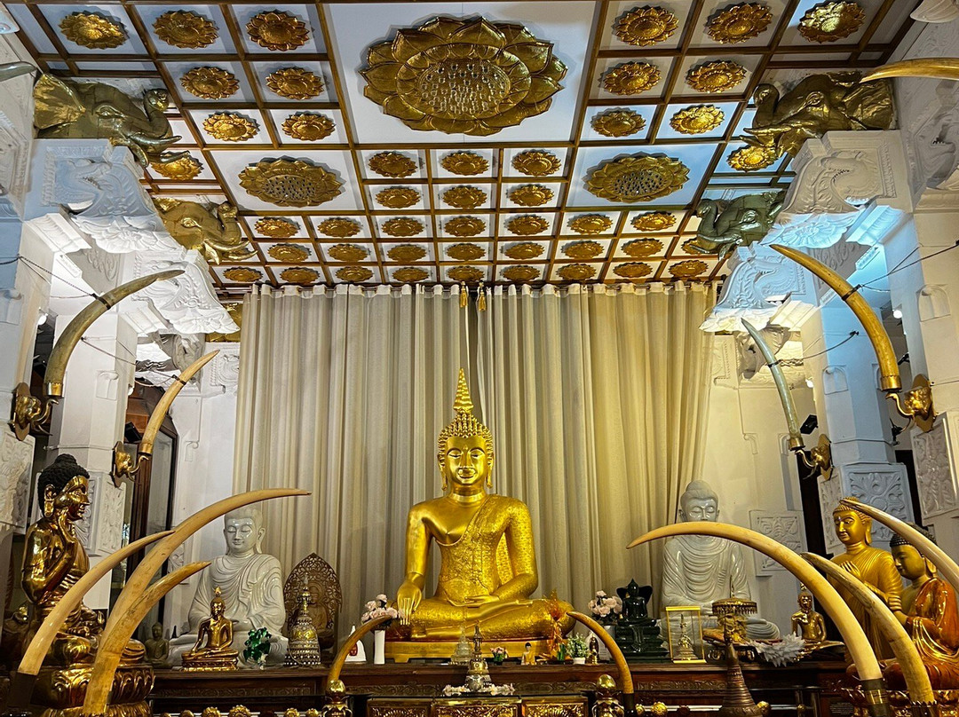 Macaw Holidays-科伦坡必去景点