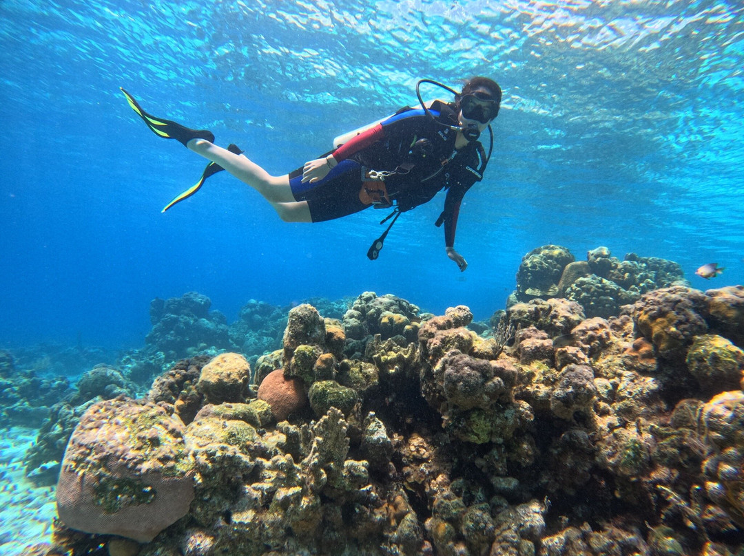 Varadero Diving Tour-Playa Larga必去景点