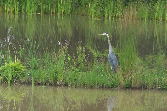 Cartland Estate Bed & Breakfast主图