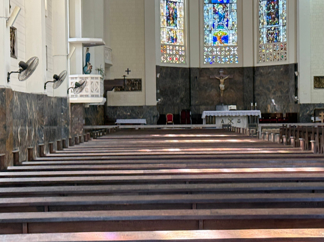 Cathedral of Our Lady of the Immaculate Conception景点图片