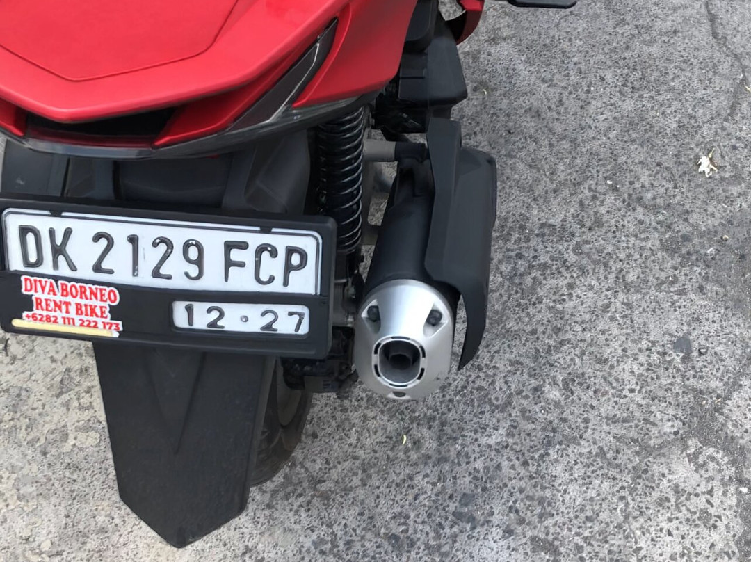 Bali Bike House景点图片