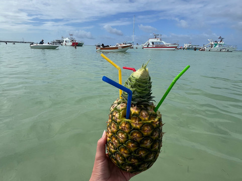 SeaPro Water Sports-普拉塔港必去景点