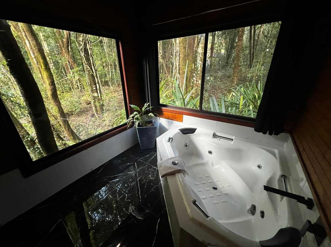 茅斯热带雨林度假村主图