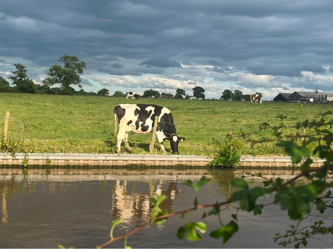 Higher Elms Farm (caravan Site)