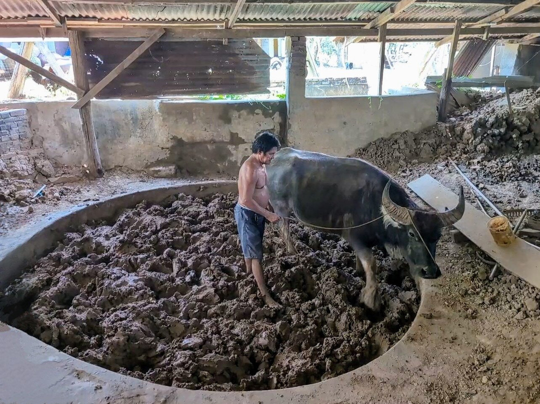 RG Jar Factory-维甘必去景点