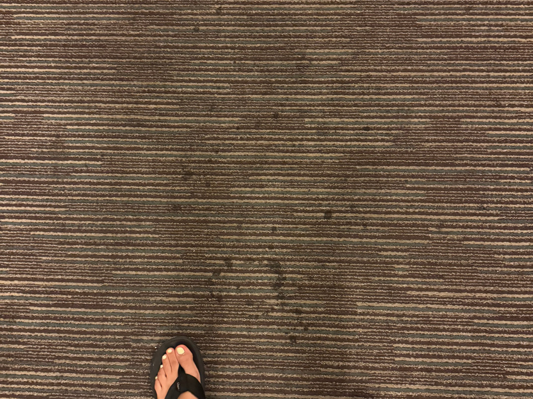 迈阿密机场东凯悦嘉轩酒店主图