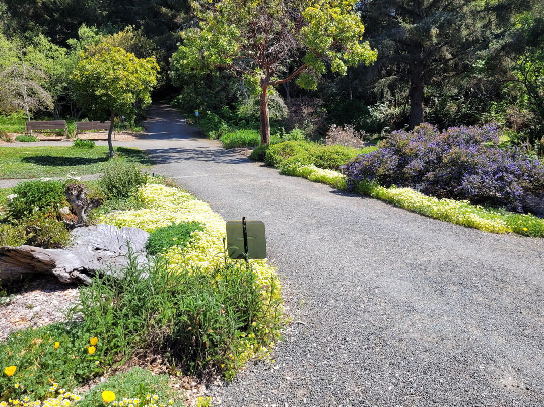 Humboldt Botanical Garden-尤里卡必去景点
