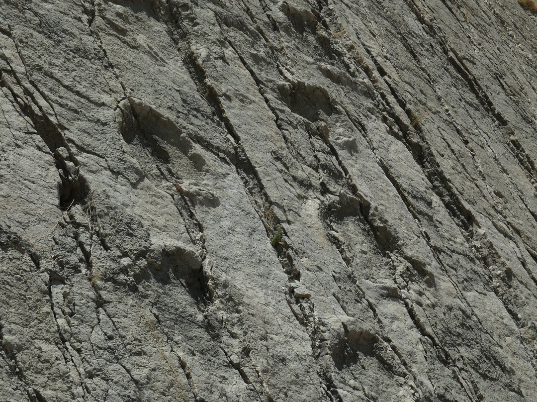Dinosaur Tracks (Cal Orck'o)-苏克雷必去景点
