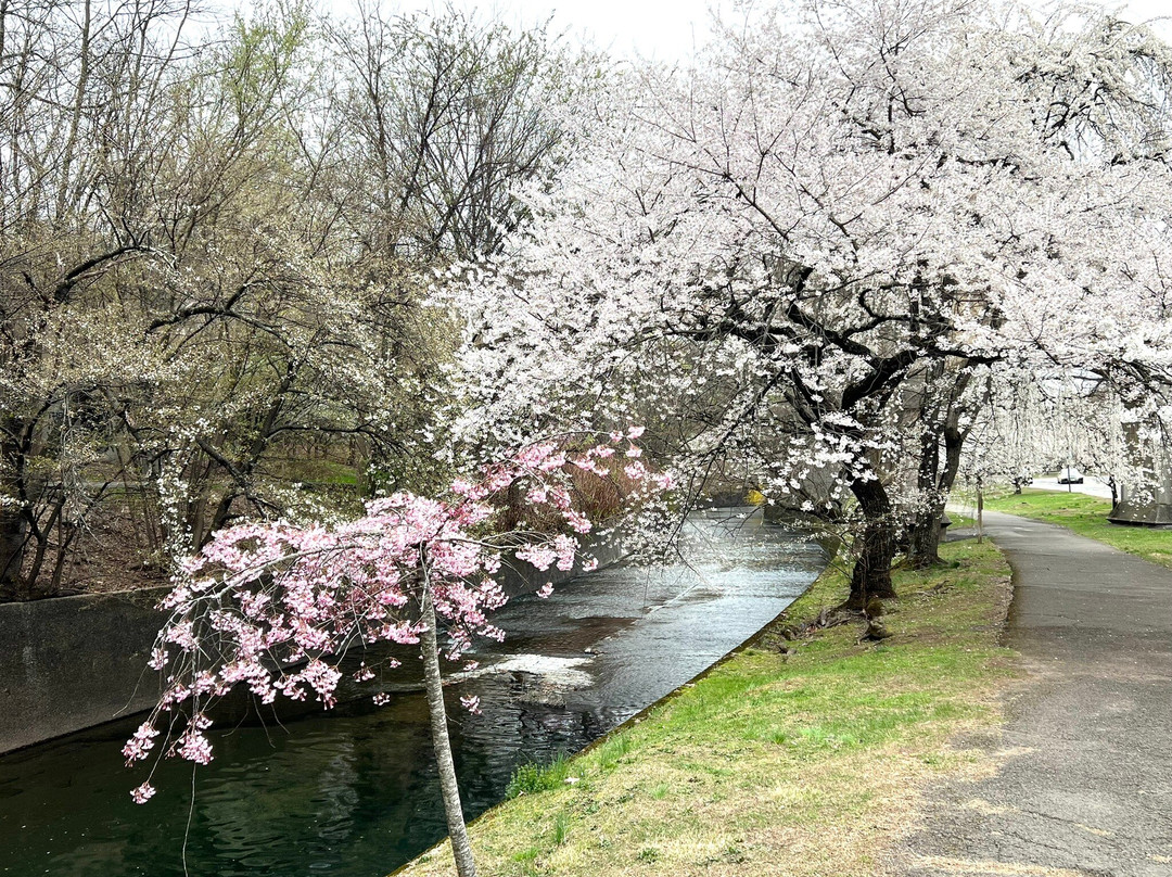 Branch Brook Park景点图片