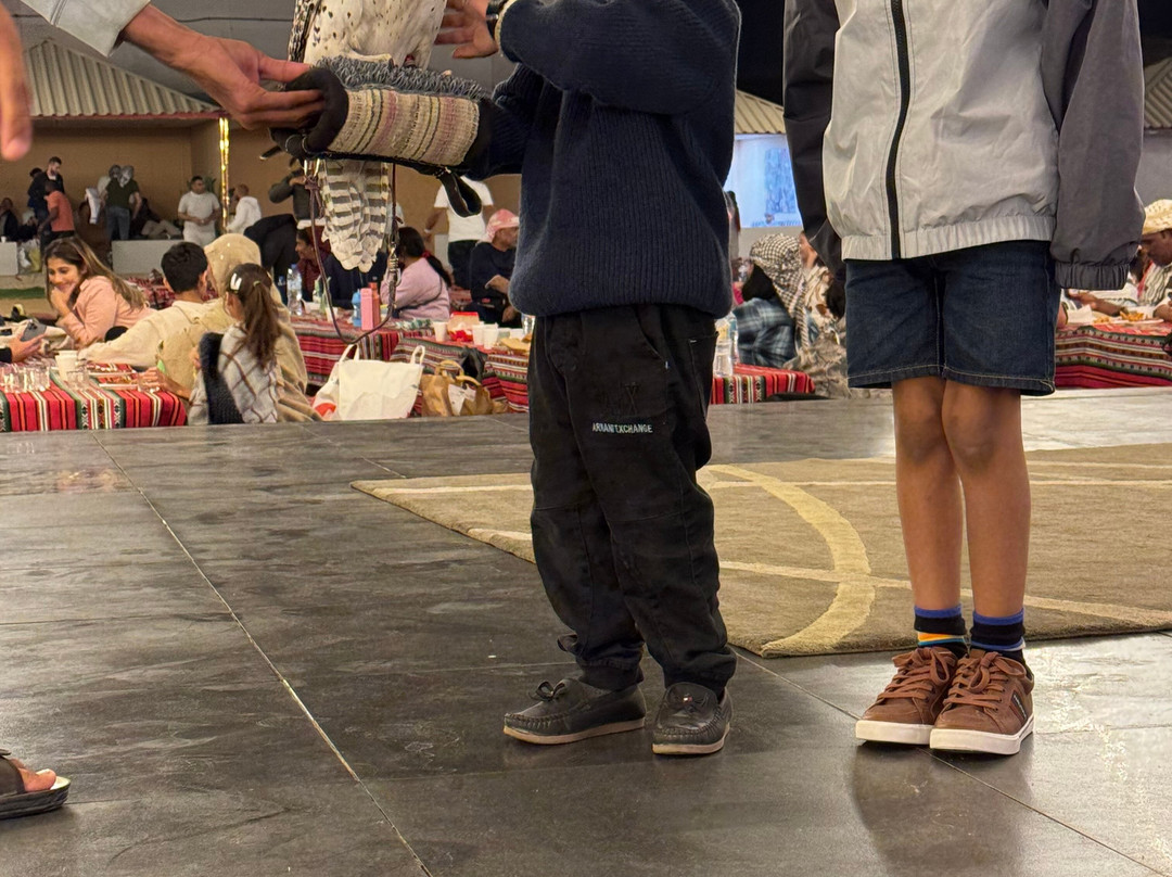 Friends Guide Travels and Tourism LLC-迪拜必去景点