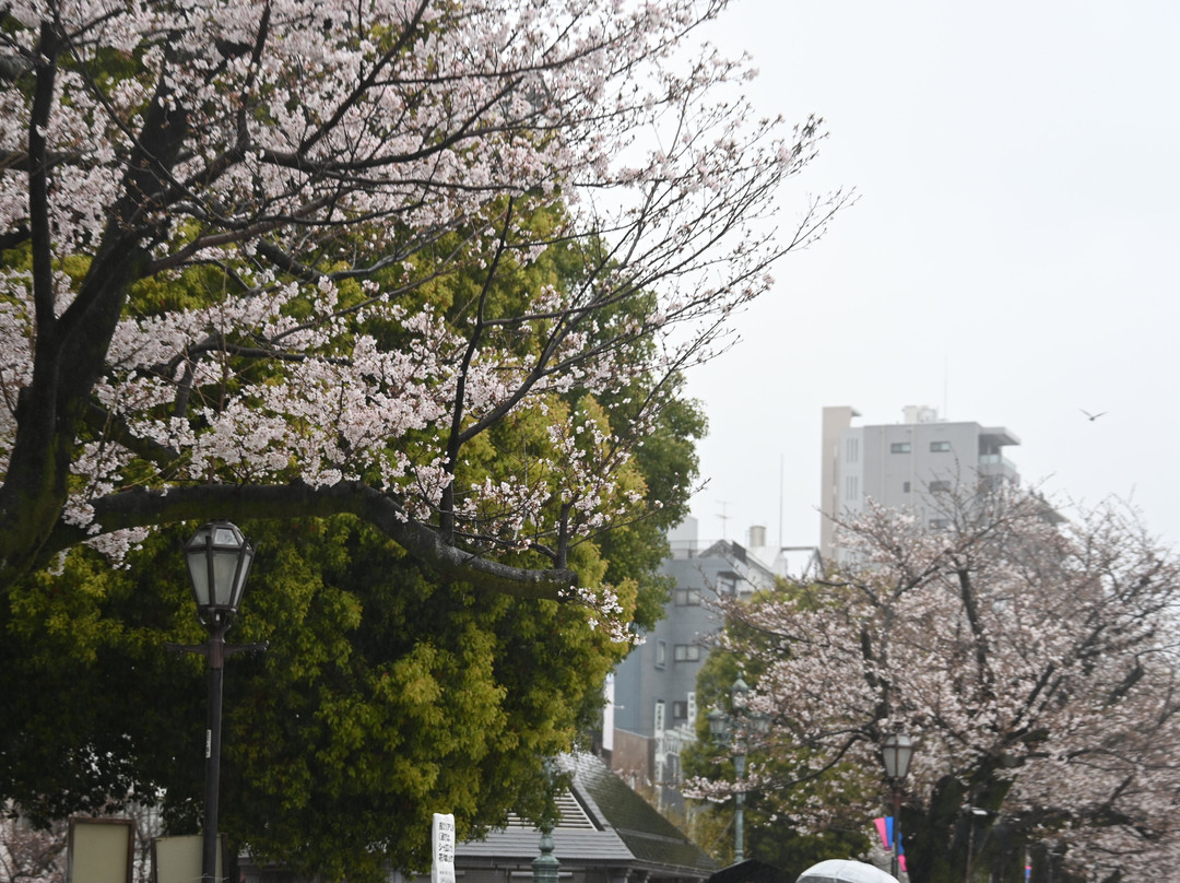 Azumabashi Bridge景点图片