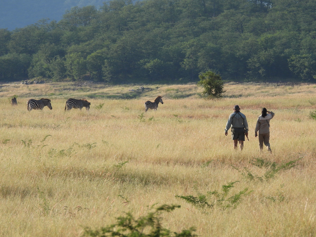 Shenga Expeditions