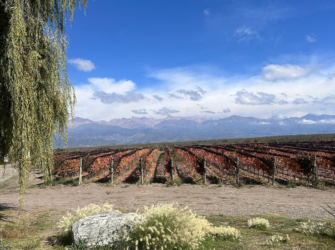 Zorzal Wines-Tupungato必去景点