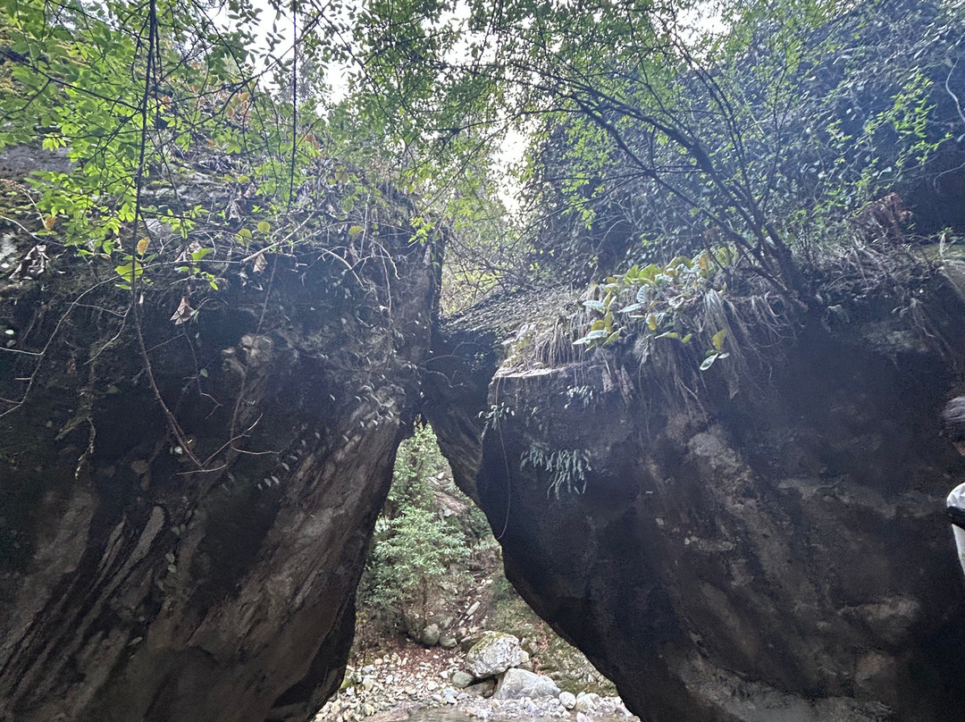 Jibhi Adventure-Jibhi必去景点