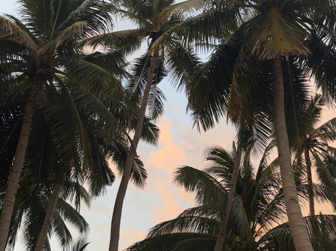 Patuyo Island Experience-Patoyo Island必去景点