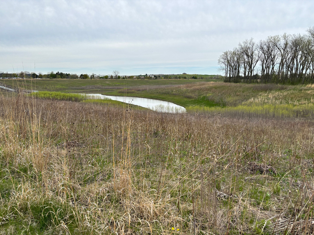 Techny Basin Conservation Area