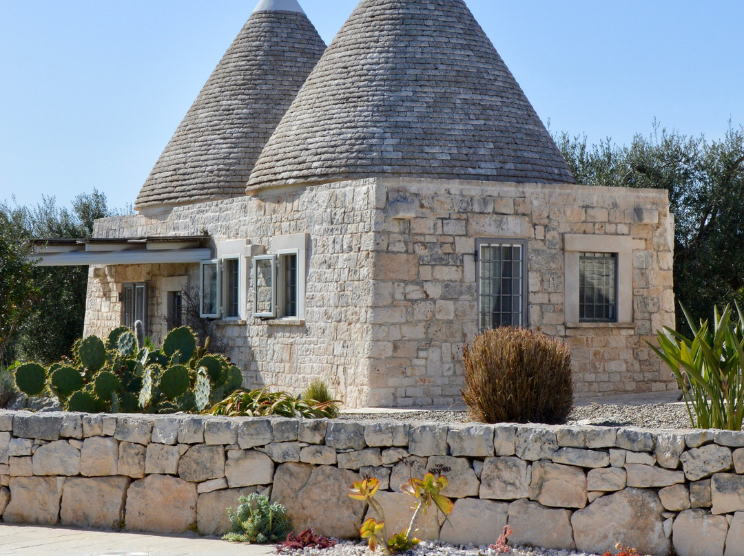 Regina di Ulivi主图