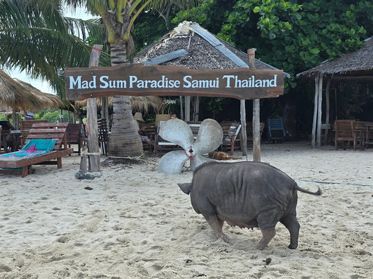 Samui Evasion-查汶海滩必去景点