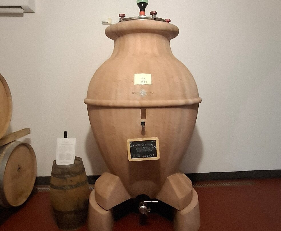 Tenuta Di Ghizzano景点图片
