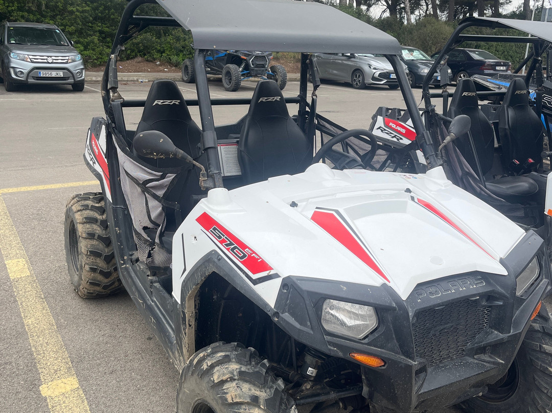 Buggy Mallorca Tours-阿尔库迪亚港必去景点