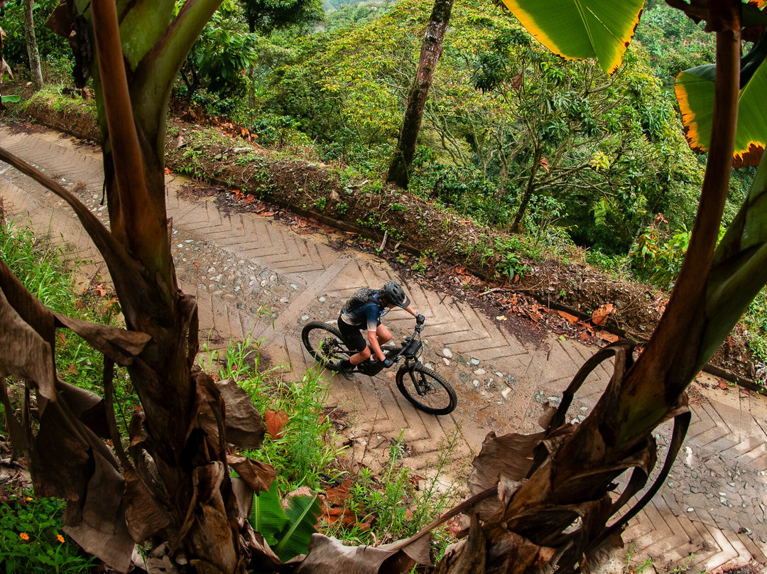 Pedal 1817 By Florida Bike Shop-Villamaria必去景点