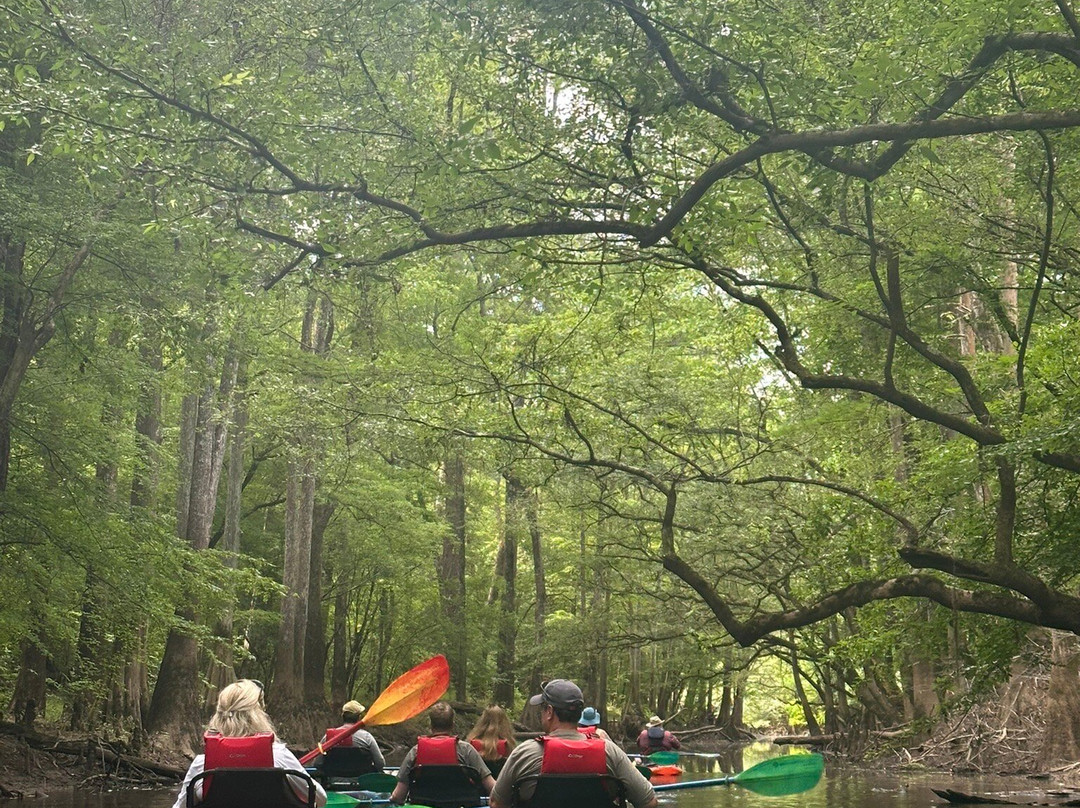 Carolina Outdoor Adventures景点图片