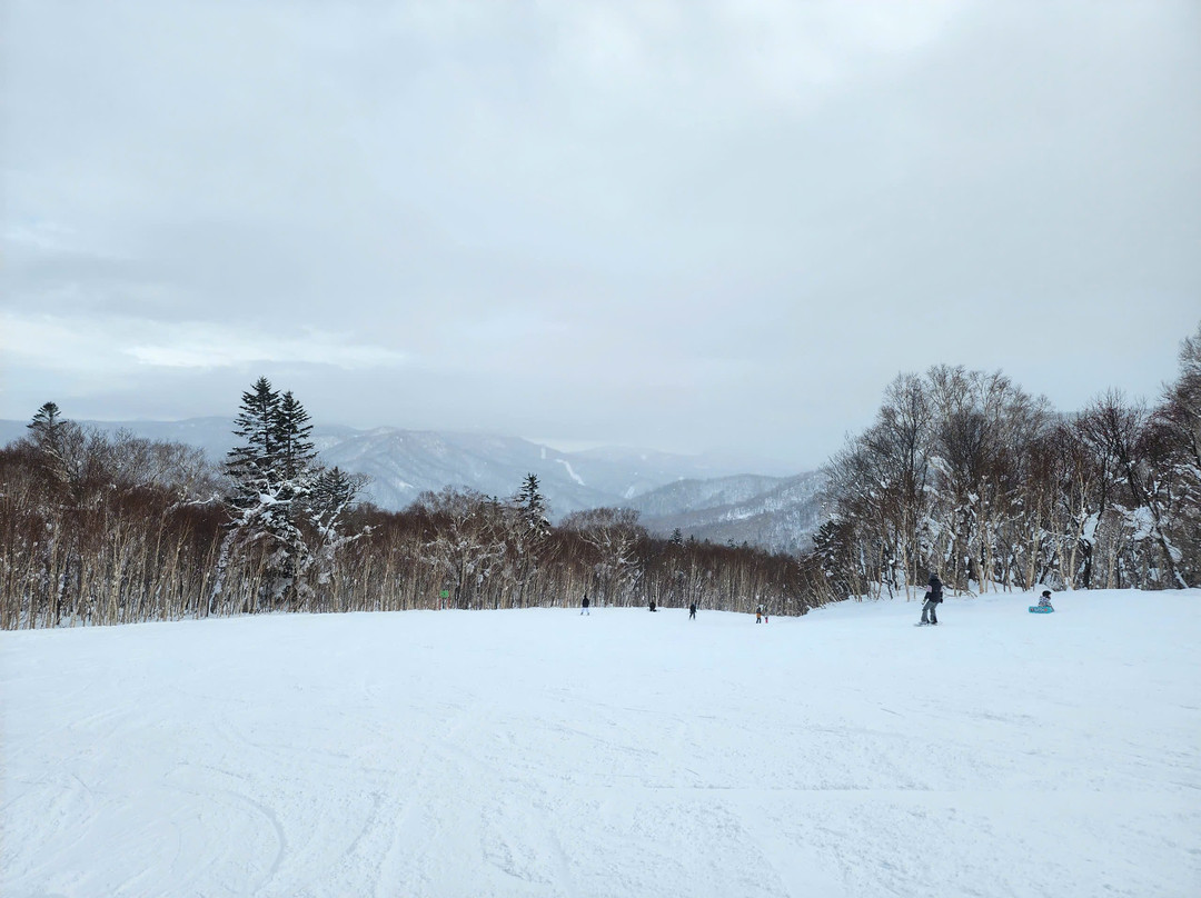 新雪谷村滑雪胜地景点图片
