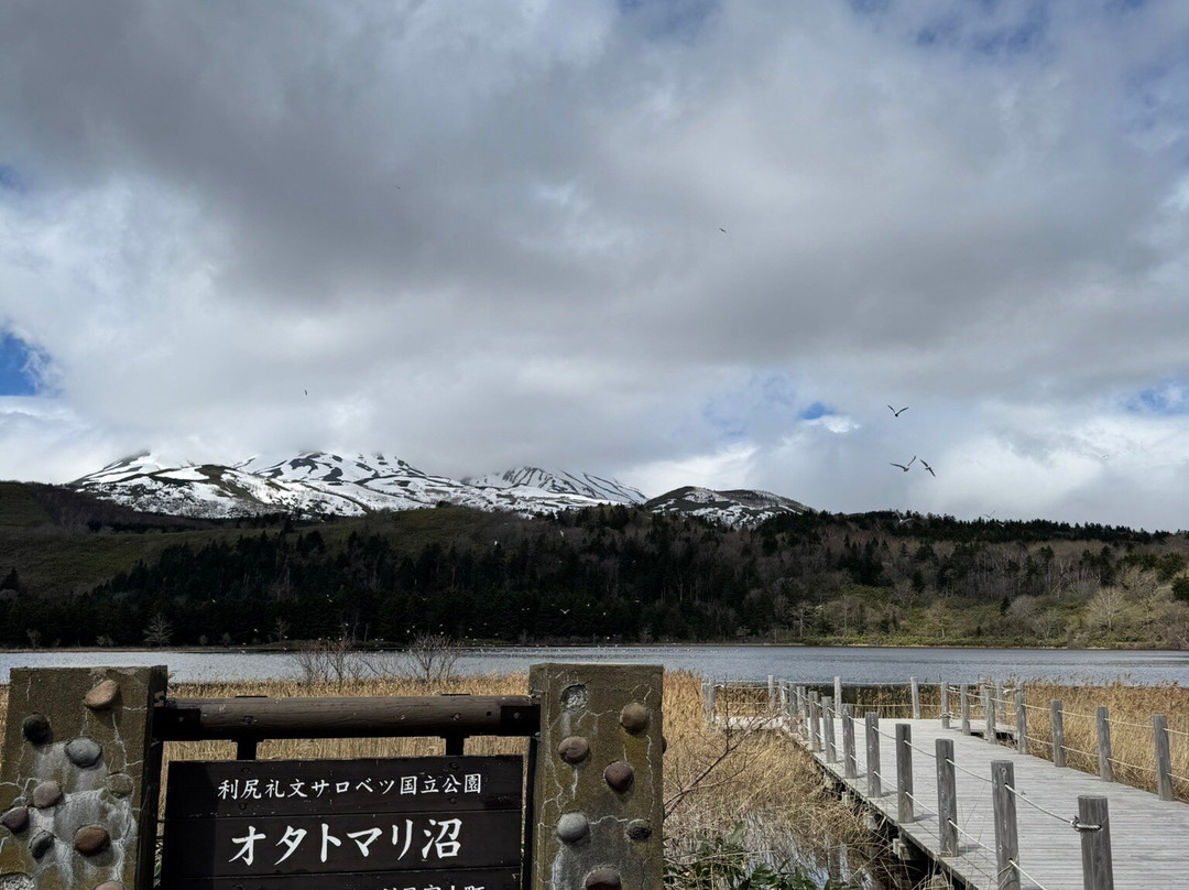 Otatomari Swamp-利尻富士町必去景点