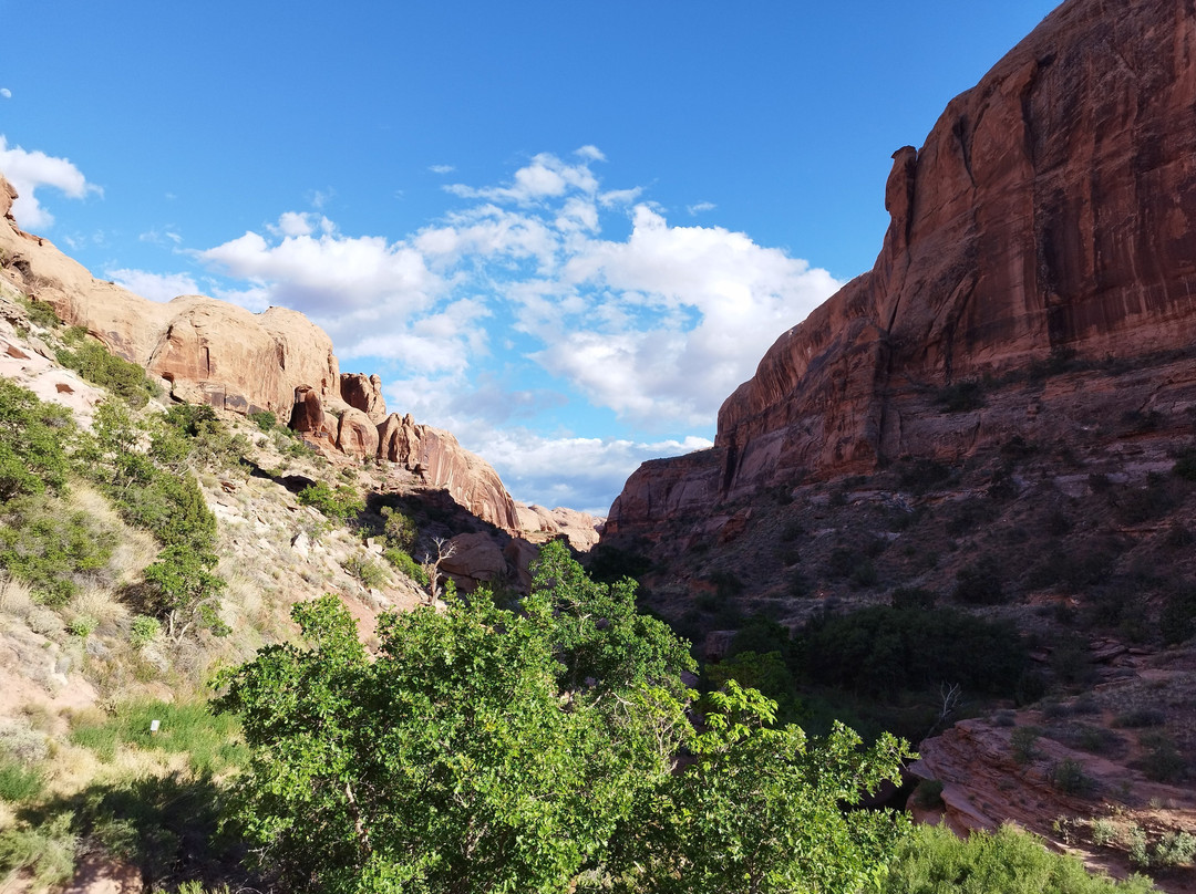 Grandstaff Canyon Trail-莫阿布必去景点