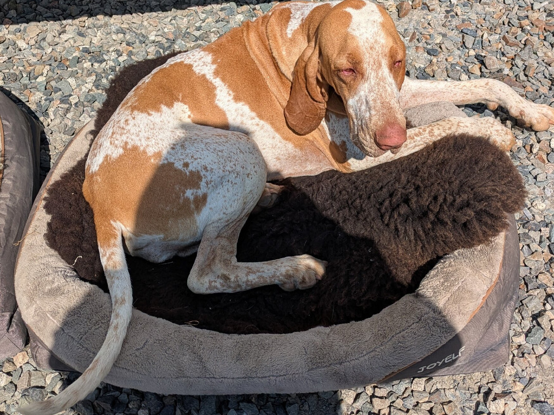 Gotland Gin-Highampton必去景点