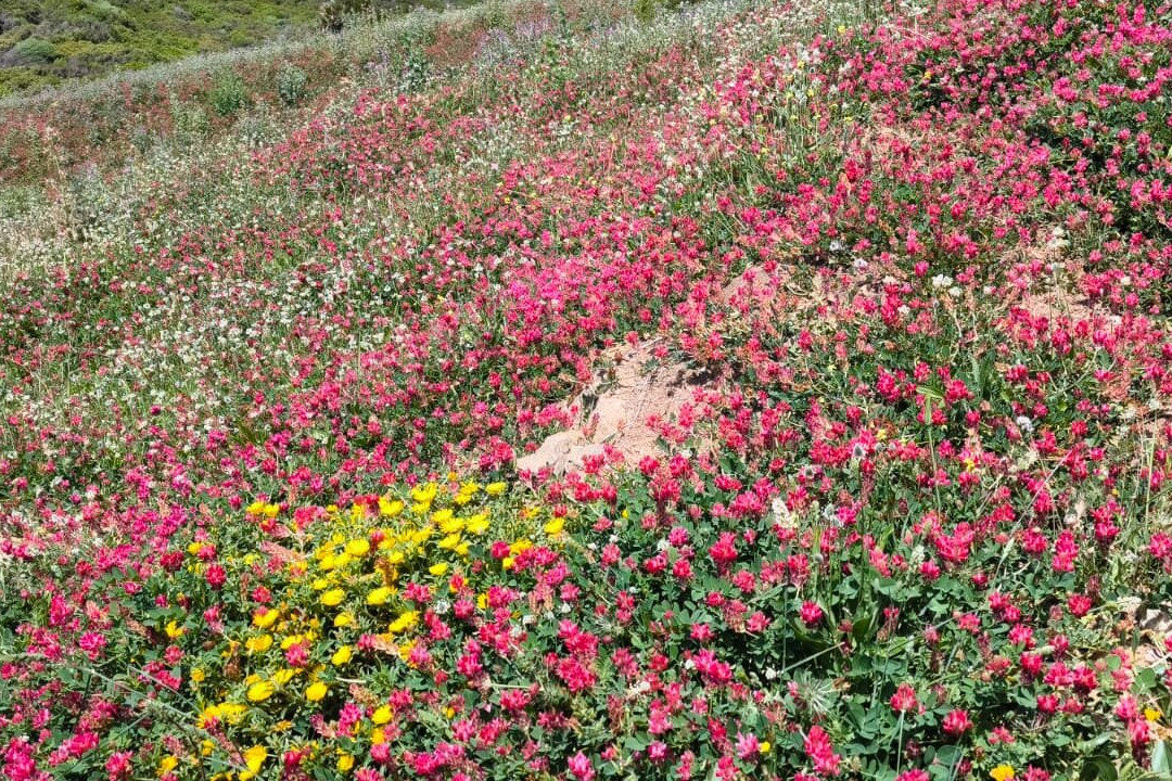 RF Natura-隆达必去景点