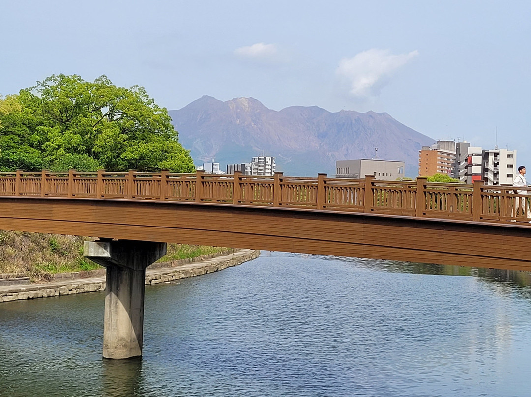 Sakurajima Island View-鹿儿岛市必去景点