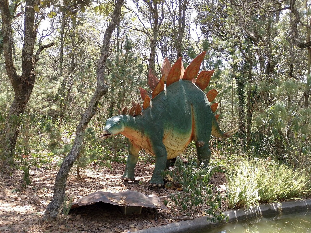 Bioparque Estrella México-San Juan Tuxtepec必去景点