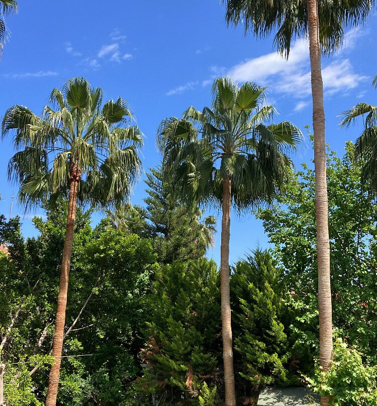 Harun Pansiyon主图