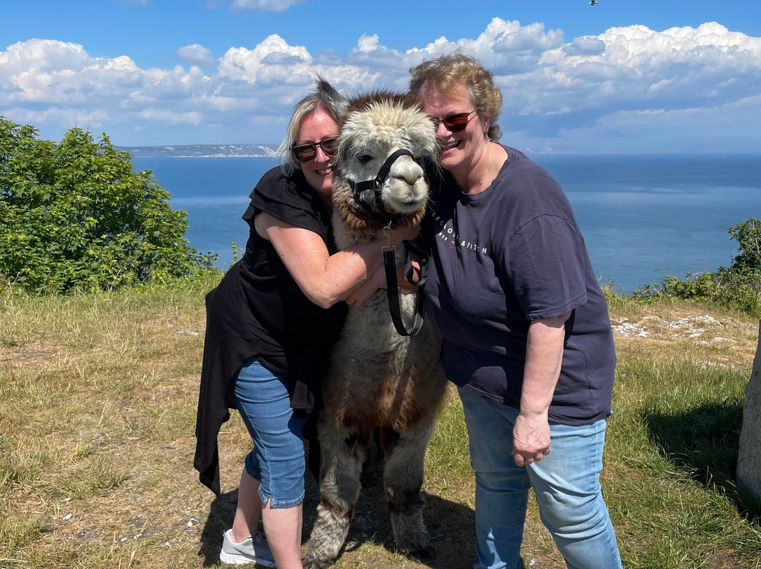 Portland Alpaca Trekking-Weston必去景点