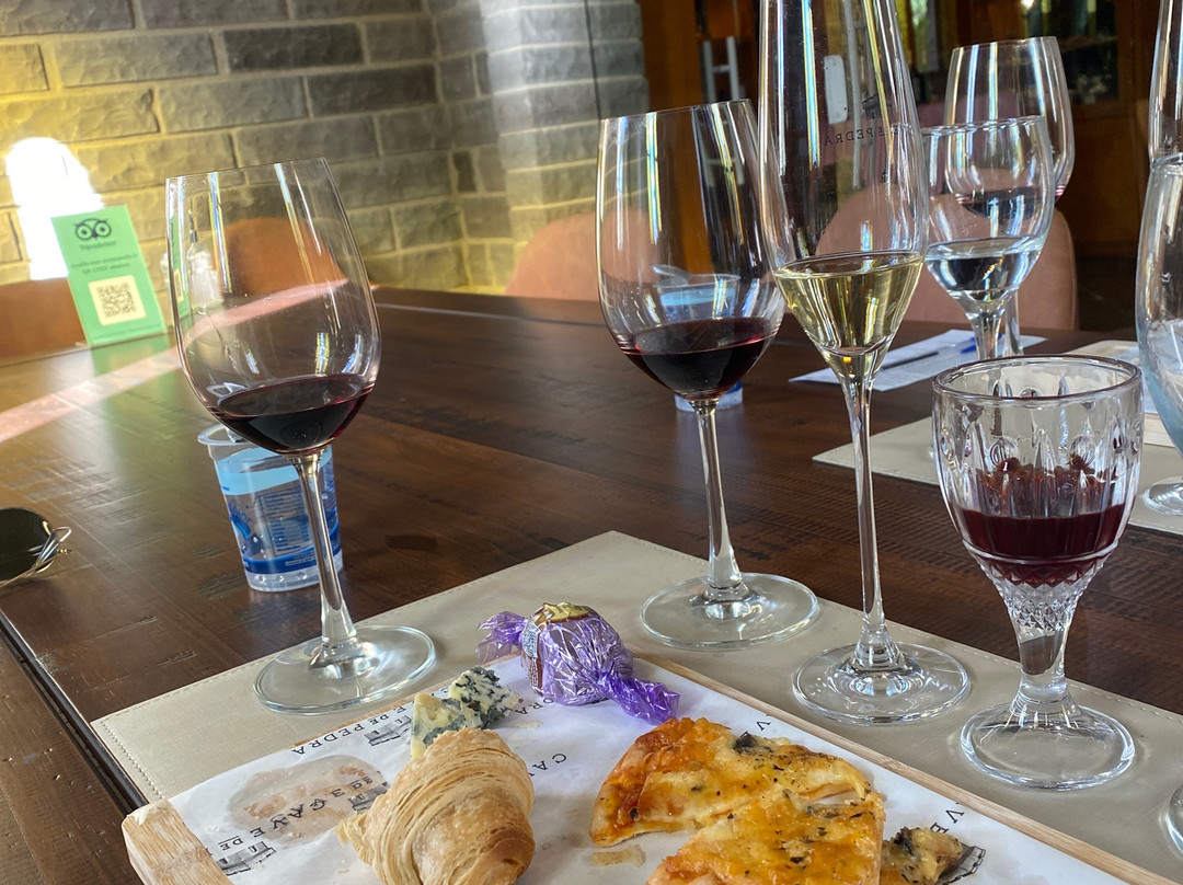 Vinícola Cave De Pedra-本图贡萨尔维斯必去景点