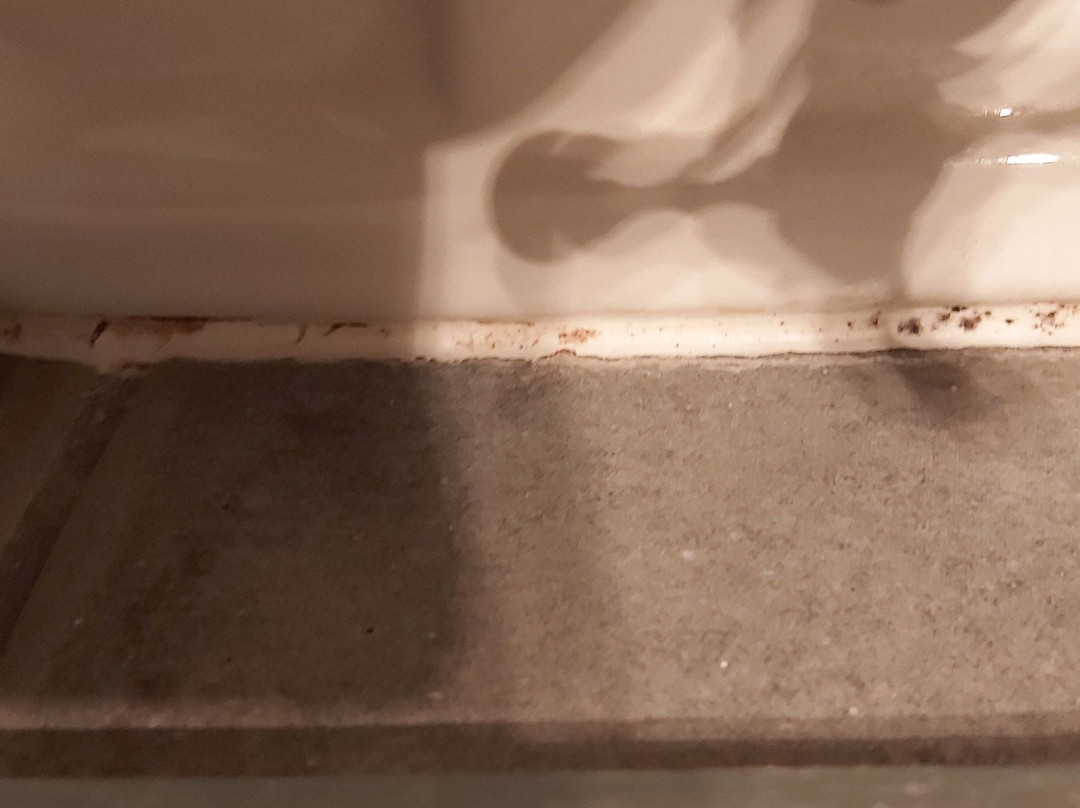 Willowbrook Cottage主图