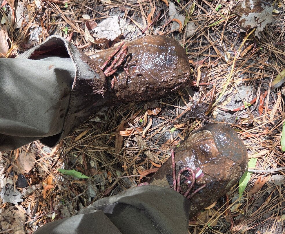 First Landing State Park-弗吉尼亚海滩必去景点