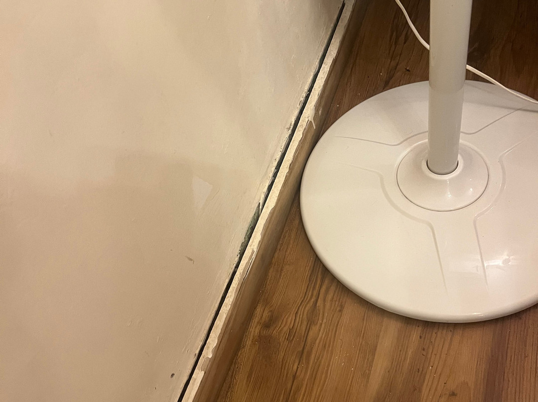 Clarks Exotica Resort主图