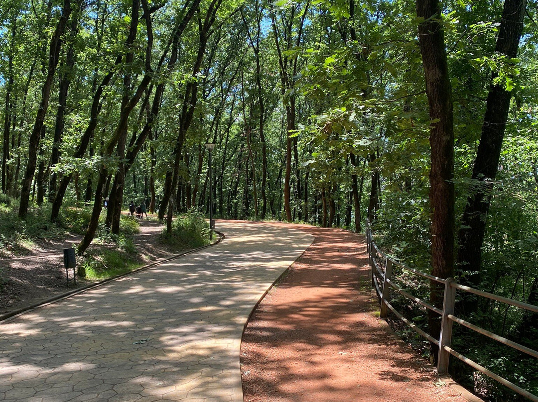 Grand Park (Parku i Madh)景点图片
