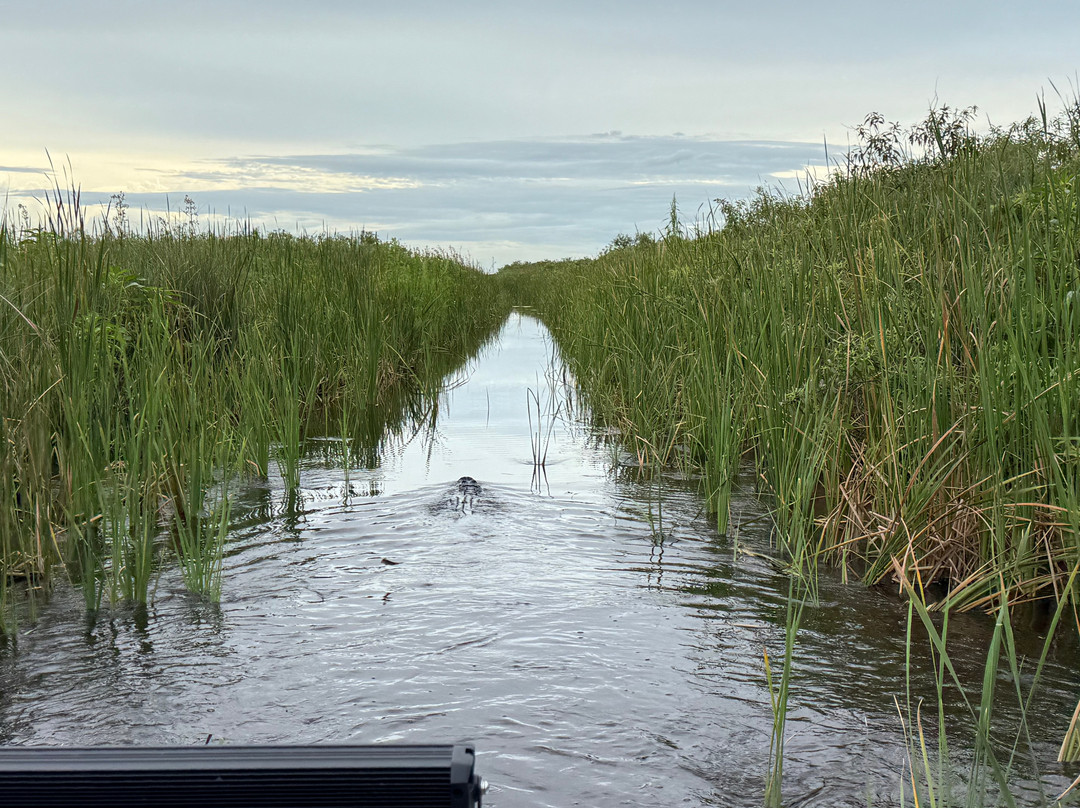 Florida Airboat Rides-庞帕诺比奇必去景点