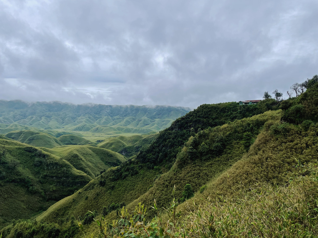 Dzukou Valley景点图片