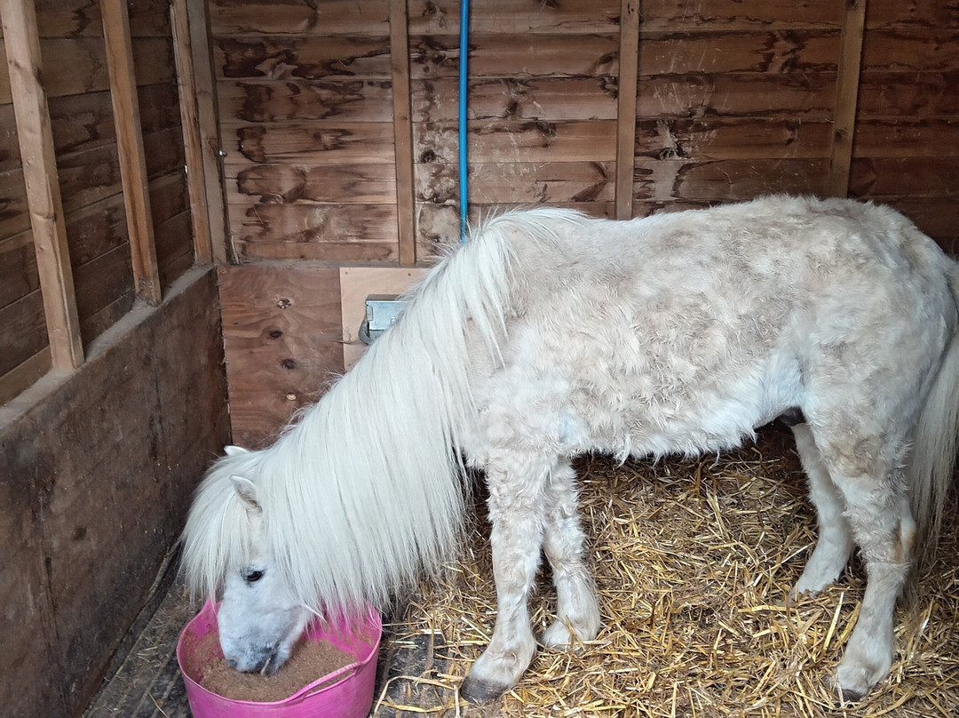 Hopefield Animal Sanctuary & Visitor Centre景点图片