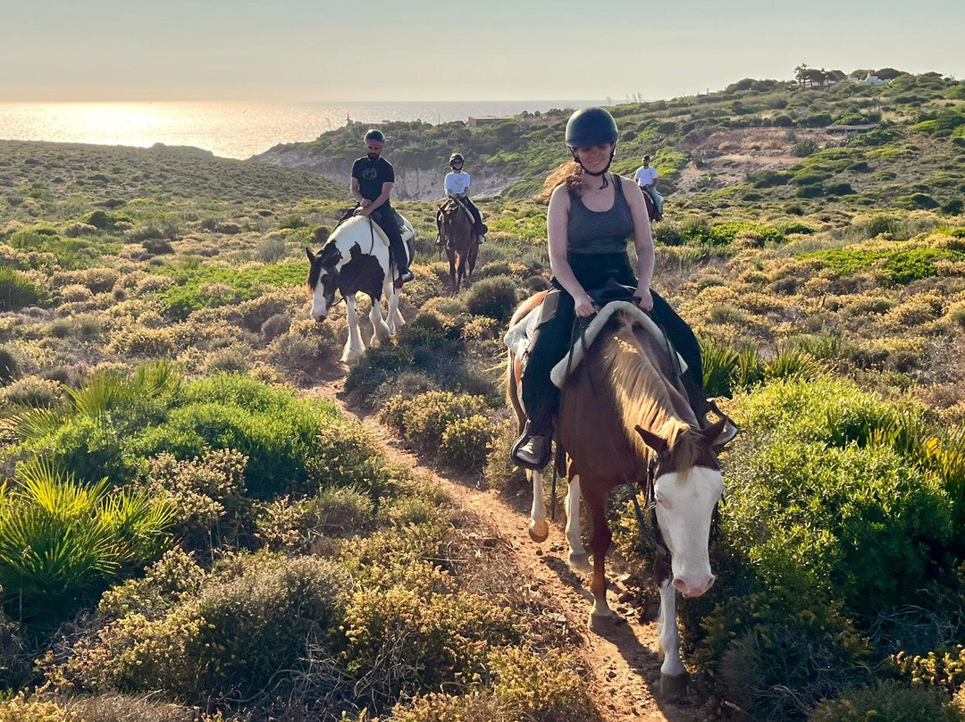 Carolina Ranch Escursioni e Tour-Sant'Antioco必去景点