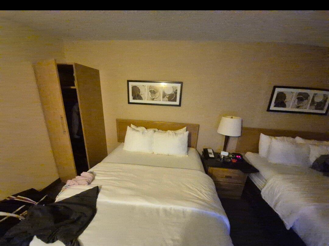 Comfort Inn Riviere-du-Loup主图