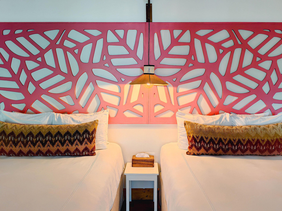 Cloud Forest Lodge主图