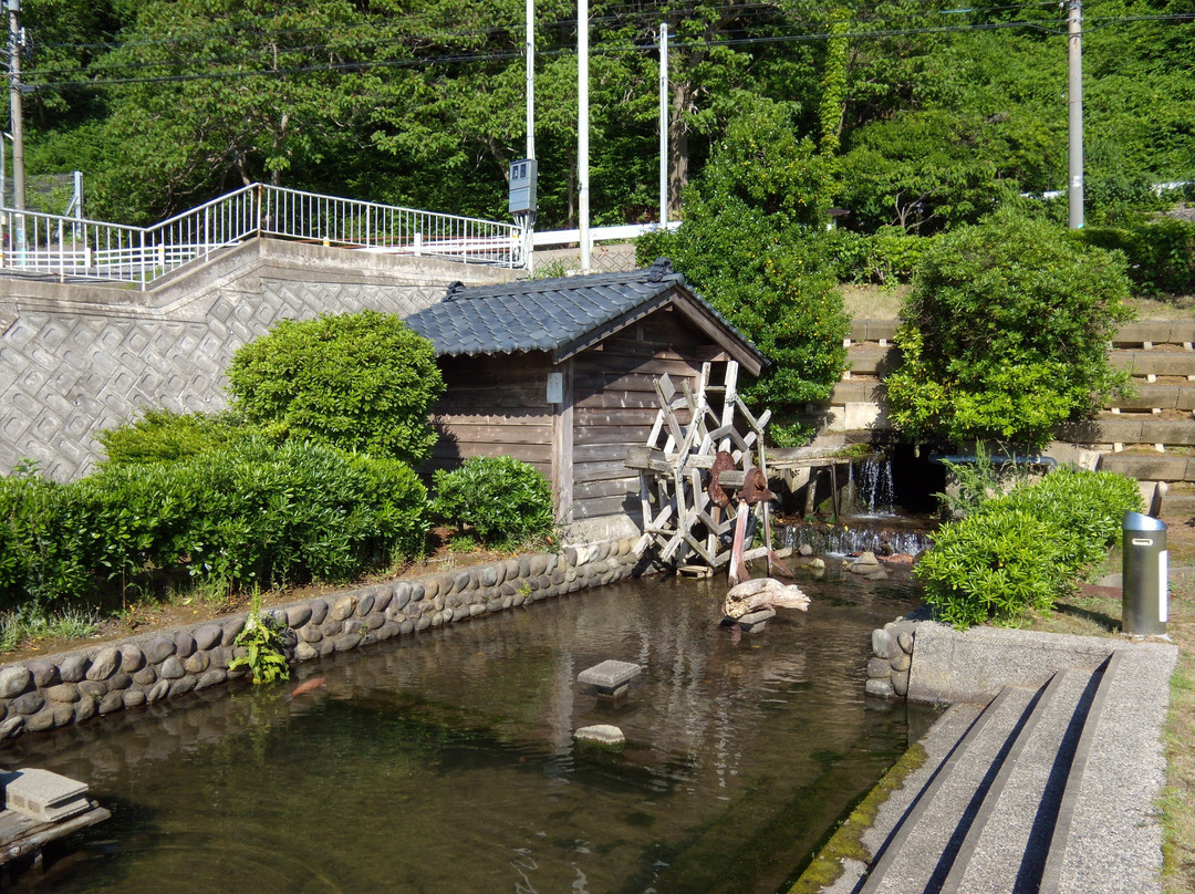 Echizen Suisen no Sato Park景点图片