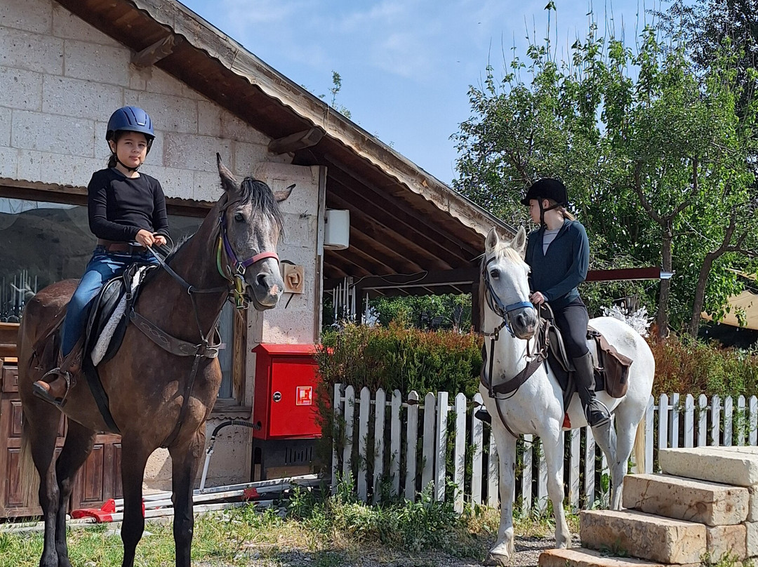 Akhal-Teke Horse Riding Center-阿瓦诺斯必去景点
